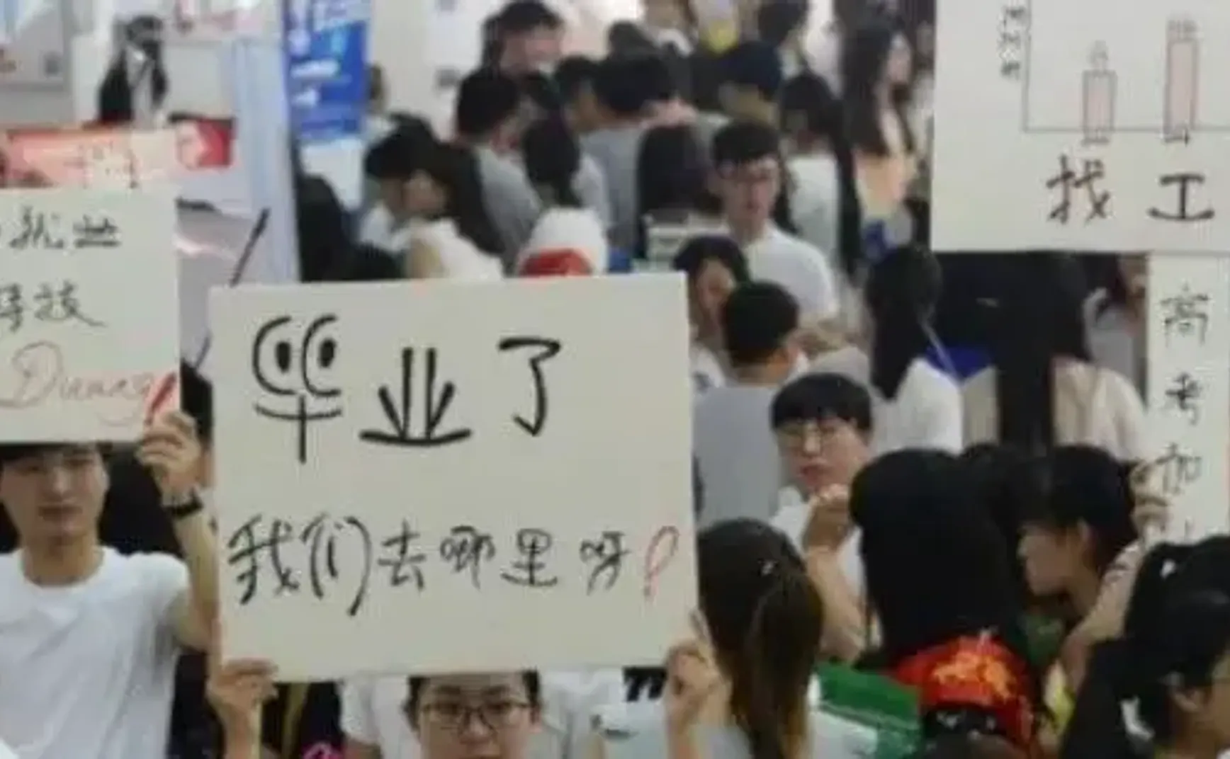 据说应届毕业生就业形势很严峻，有没有其他可能性？