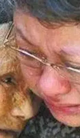 保护我方韩红，不要把她绑上神坛