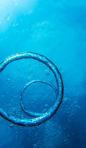 天予弗取，必受其咎