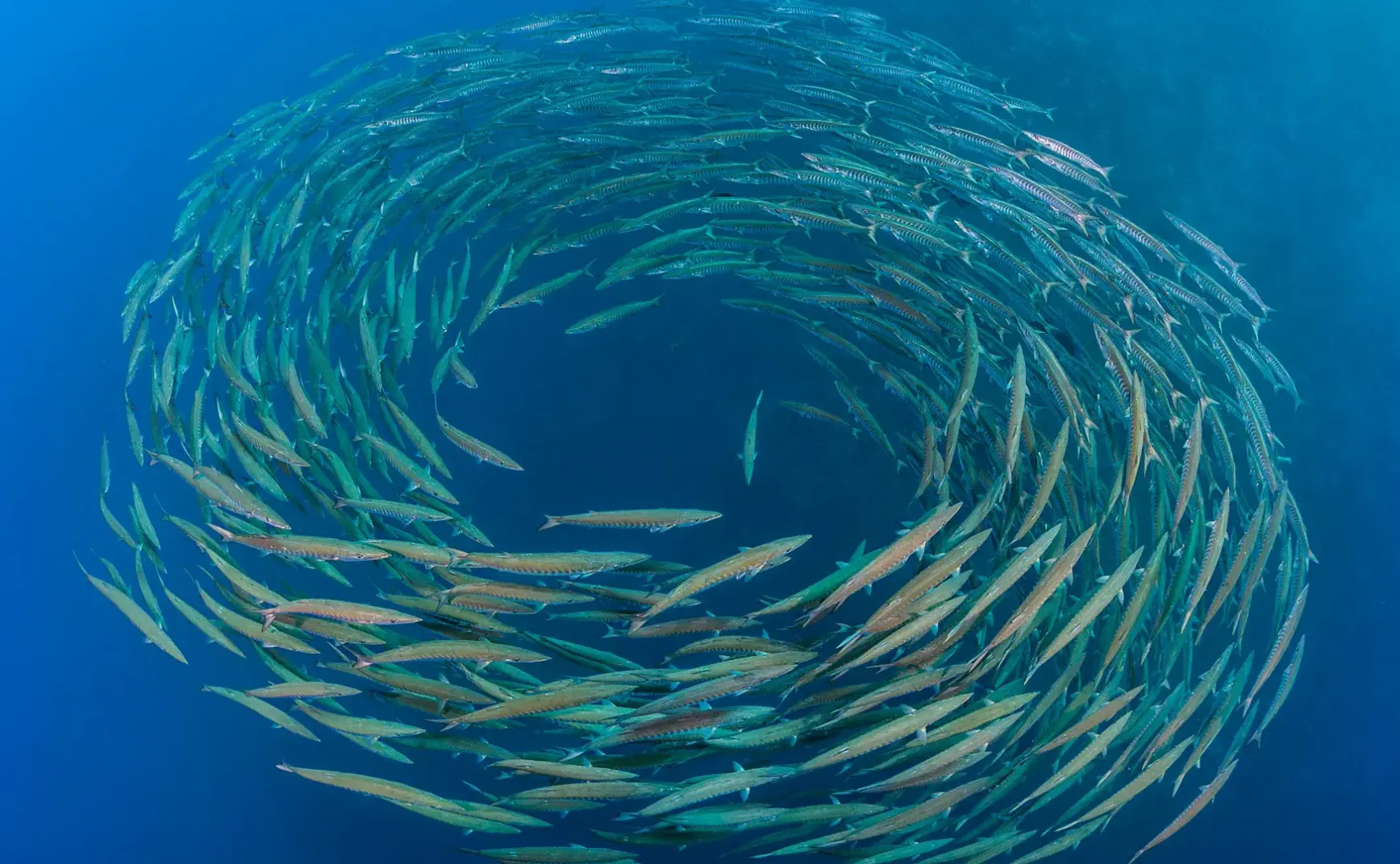 7月27日 | 多国聚焦AI治理与国际局势，国内安全与健康引关注