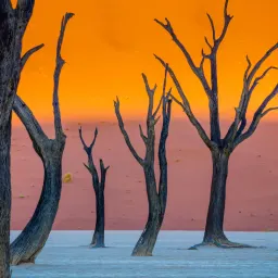 9月2日 | 上合组织通过未来十年战略；抗战胜利80周年大会将举行；多项新规9月施行