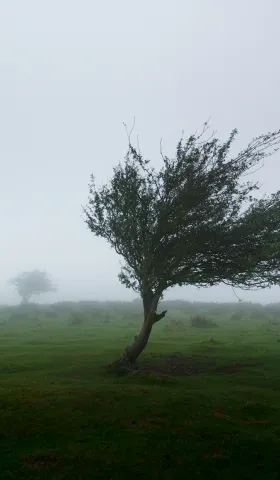 【解讀美股情緒】前方啊沒有方向，用力吹吧無情的風 - 20260312