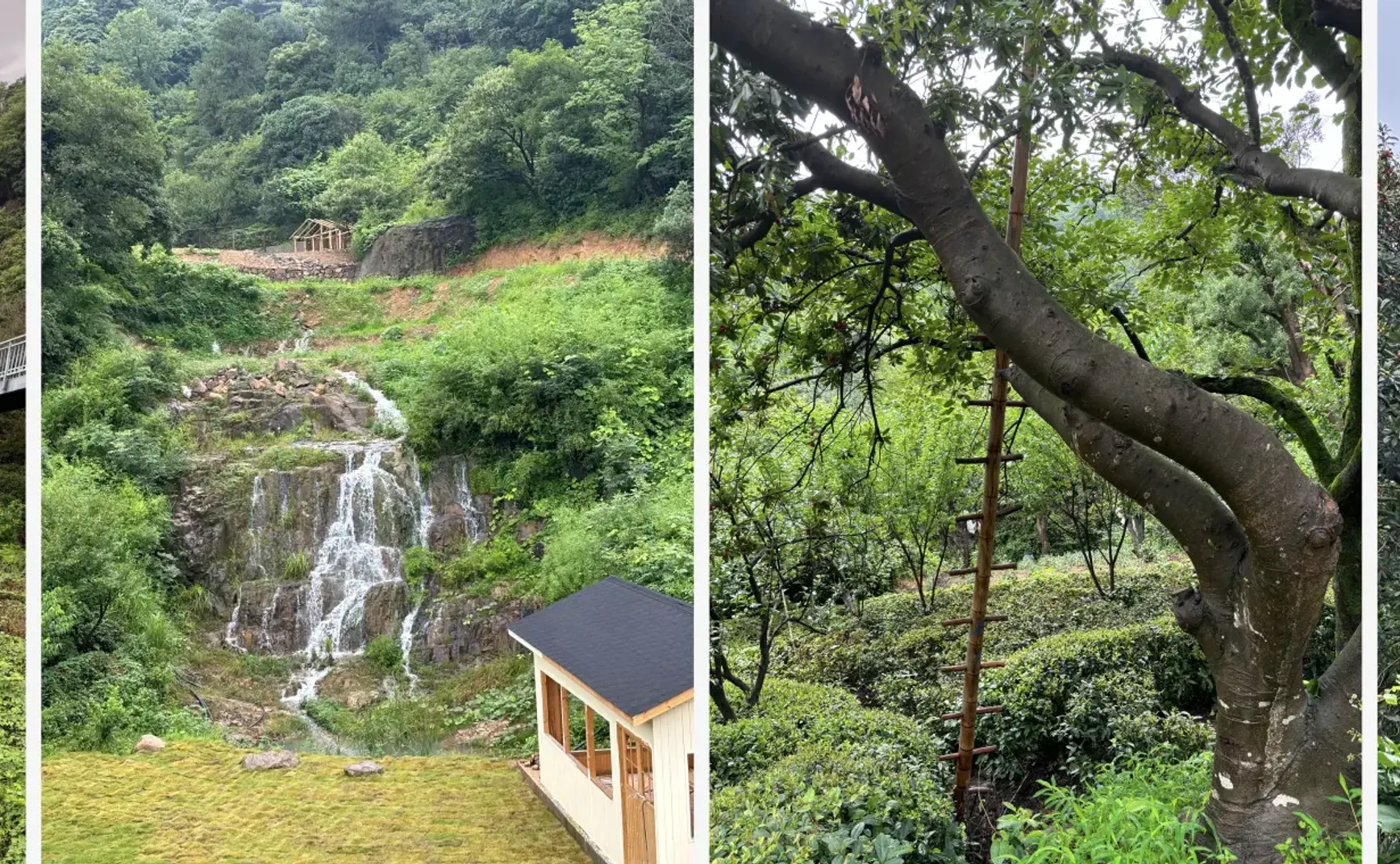 048期：徒步三泉王村