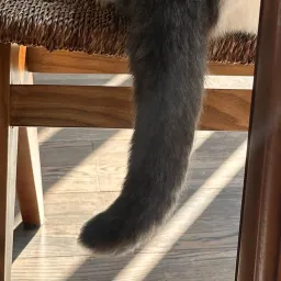 【36】幸好爱不在给予中耗损，而在给予中丰盈｜曲率飞船newsletter