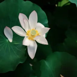 Best of book 8：《The Psychology of Money》