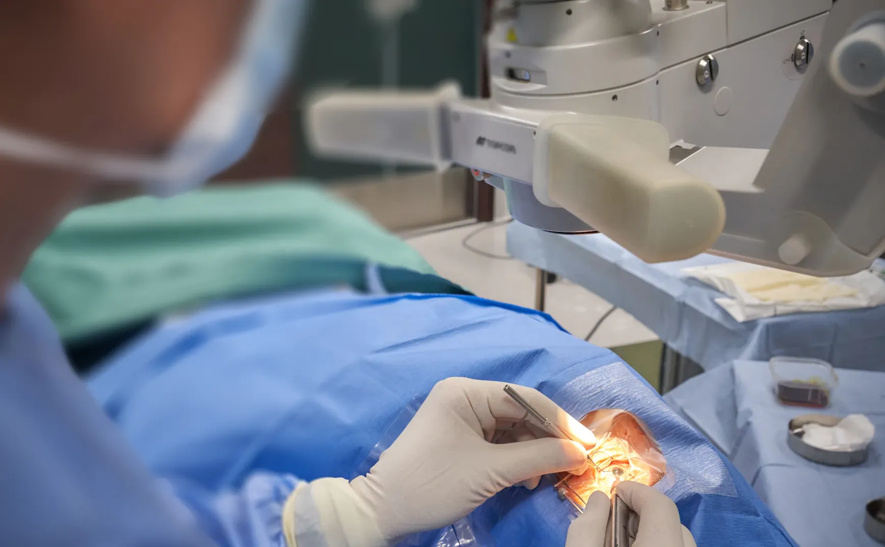 跨物种比较生物学视野下的白内障发病机制与进化决定因素：从分子适应到生态权衡的综合报告