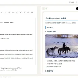 Rico MD - 公众号 Markdown 编辑器