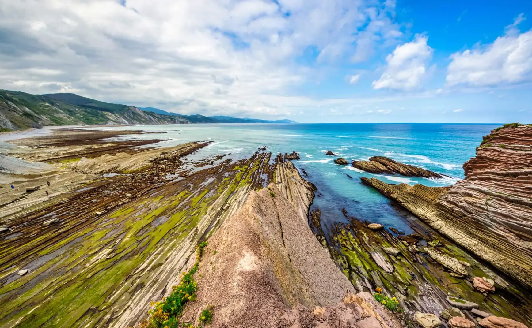 8月19日 | 股市十年新高，男篮再创佳绩，多起社会事件引关注