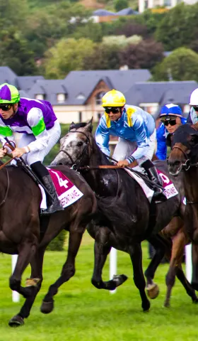 别让你的大脑变成别人思想的跑马场