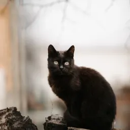 【解讀美股情緒】別低估了時間的善變 - 20251016