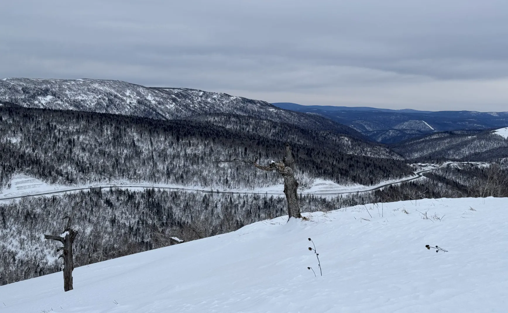周报 #13 - 2026 好久不见