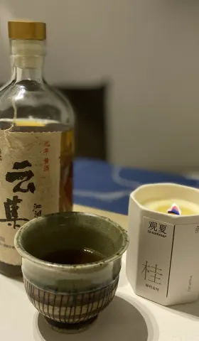 46. 如果没什么想法，这是可以说的吗？