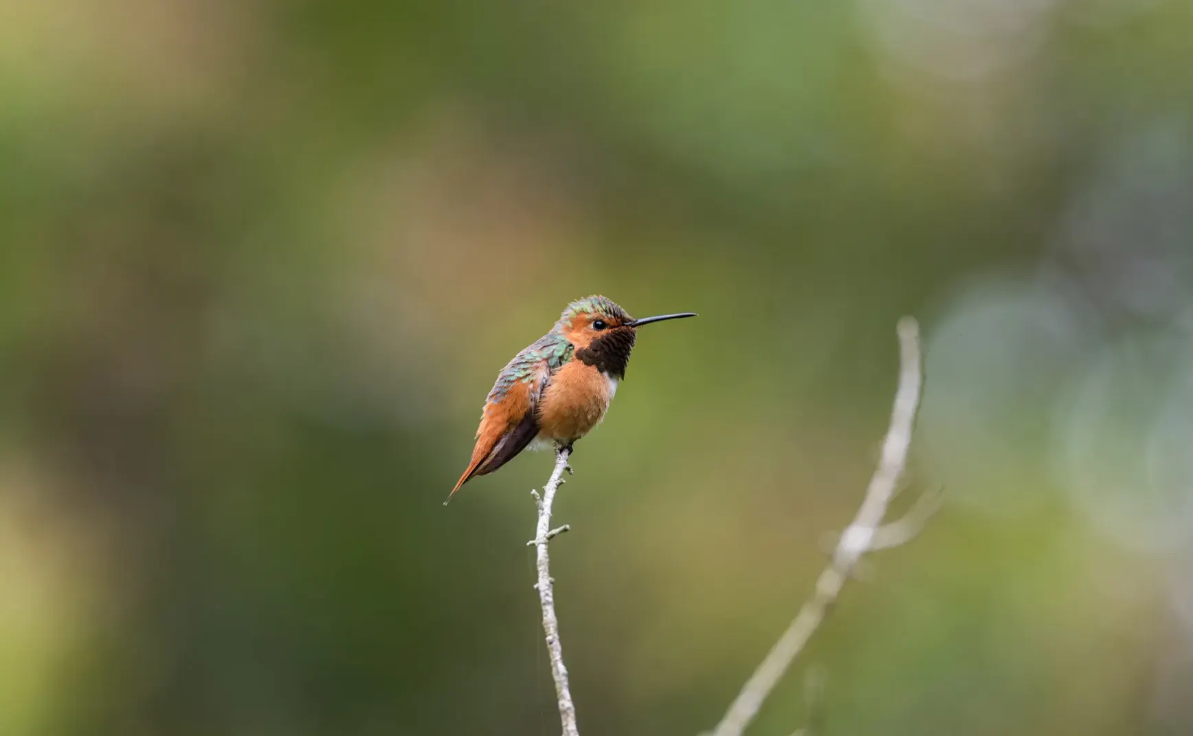 9月6日 | 普京宣布对等免签，国内铁路优惠升级，中欧贸易摩擦引关注