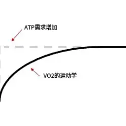 什么是 VO 2 动力学？
