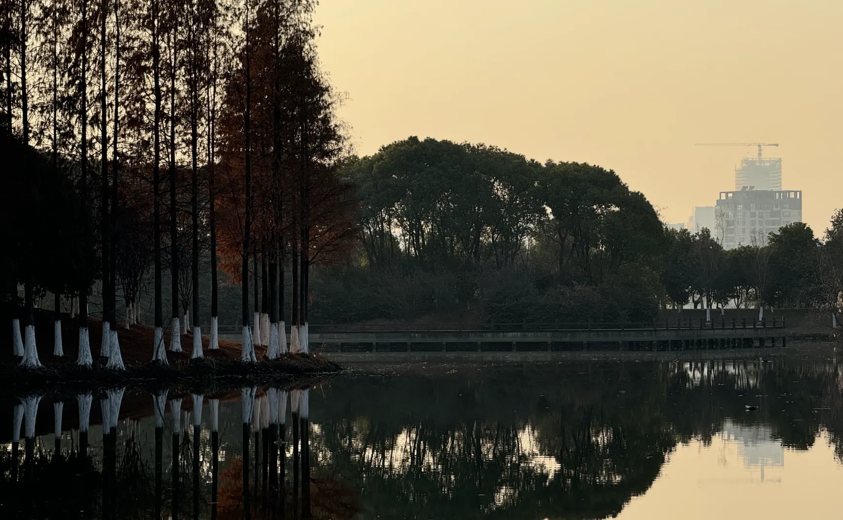 周报 #12 - 那些不成文的内容