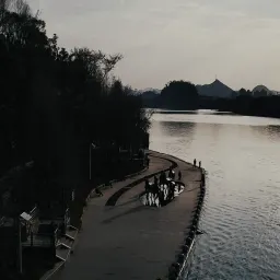 SP | 停止续费 NOMO 的原因｜它很好但我不再推荐