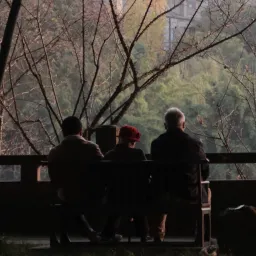 【35】用吸管喝水会让水更好喝｜曲率飞船newsletter