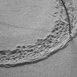 #12 复制 Hotmail：让用户替你做增长