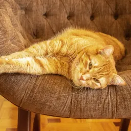 【解讀美股情緒】一起浪費時光的安全感 - 20260416