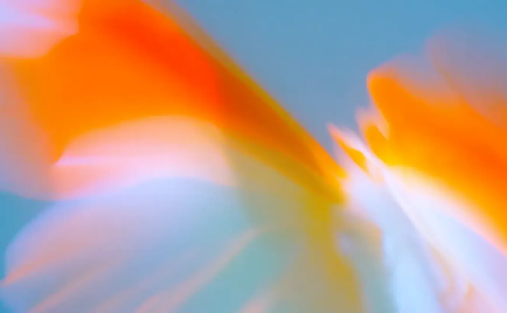 AIGC Weekly #134 御三家协同发力