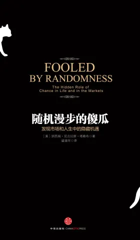 《随机漫步的傻瓜》翻译探讨