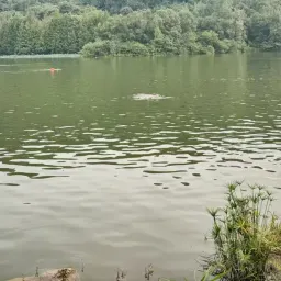 浮于表面的想法