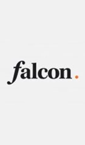 熊市避风港 Falcon 参与指南（上）