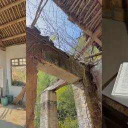 17：回家过年，做个「真人」｜曲率飞船newsletter