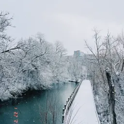 Issue#16 重新开始之前，先看看自己丧失了什么