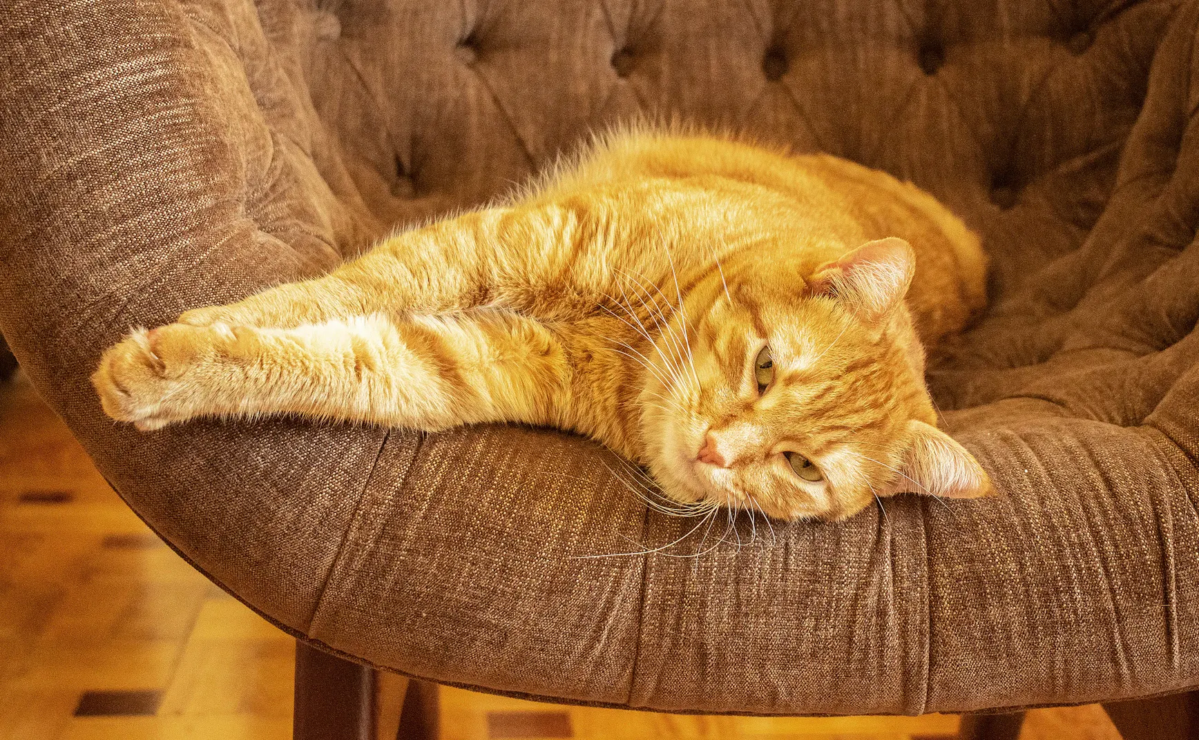 【解讀美股情緒】一起浪費時光的安全感 - 20260416