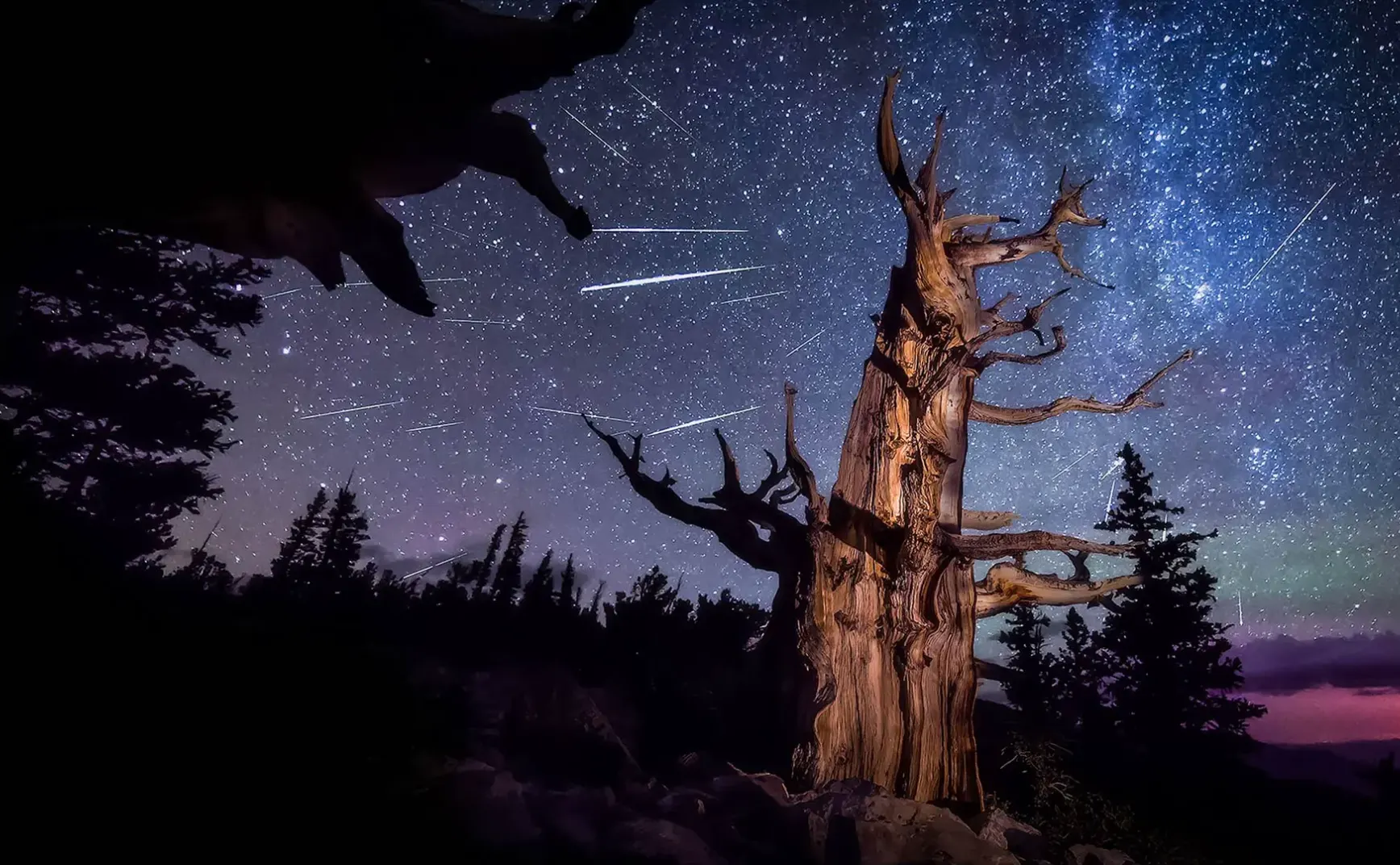 7月15日 | 中央部署反腐巡视与司法改革，未成年人网络保护引关注