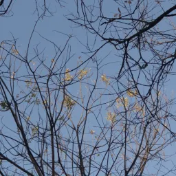 【34】人在无限接近幸福的时候是最幸福的