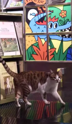 #03 最近喜欢的作品