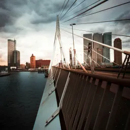 鹿特丹马拉松 · 第12-13周 · 跑鞋 · Taper