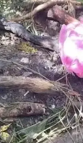 花400万租车，却给队员配4毛钱的雨衣，我死都想不通