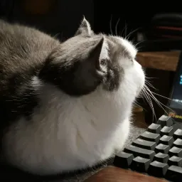 12 玄光周刊-「左脚踩右脚」的创作方法