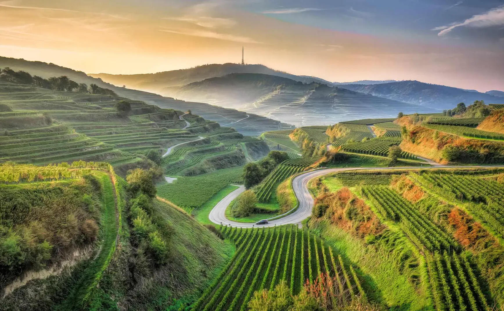 9月1日 | 普京访华深化中俄关系，体坛关注首秀失利与退役