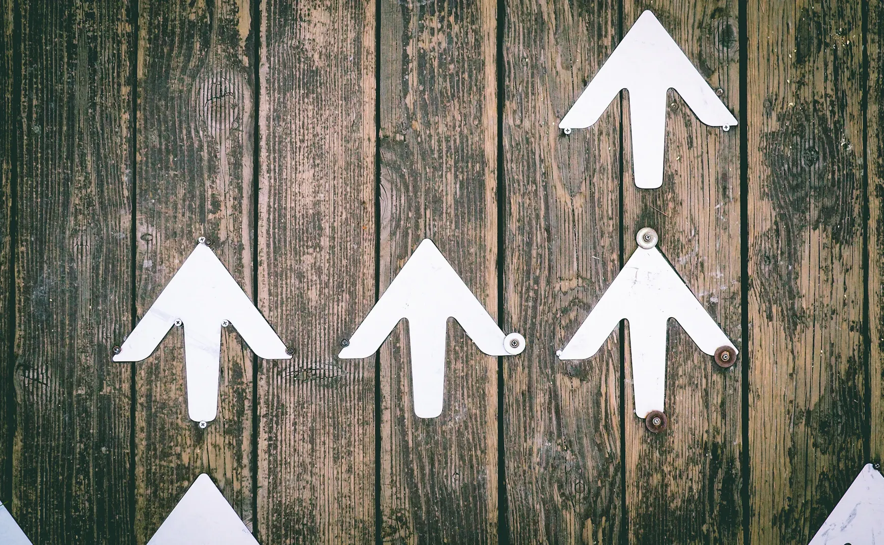 思想溯源分析报告：解构“持续提升以防淘汰”的信念