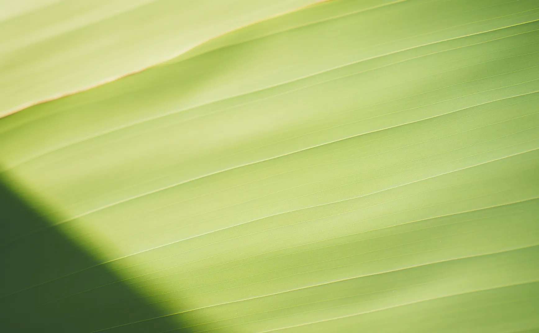 AIGC Weekly #48
