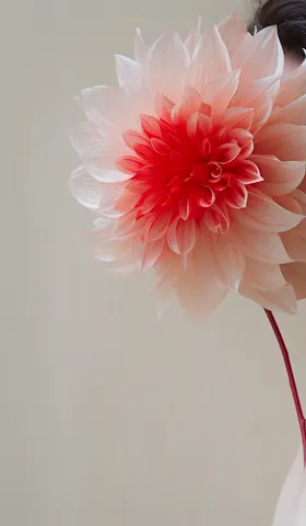 AIGC Weekly #42