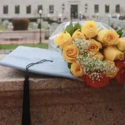 Semi-paranoid #47 (Really) quick update