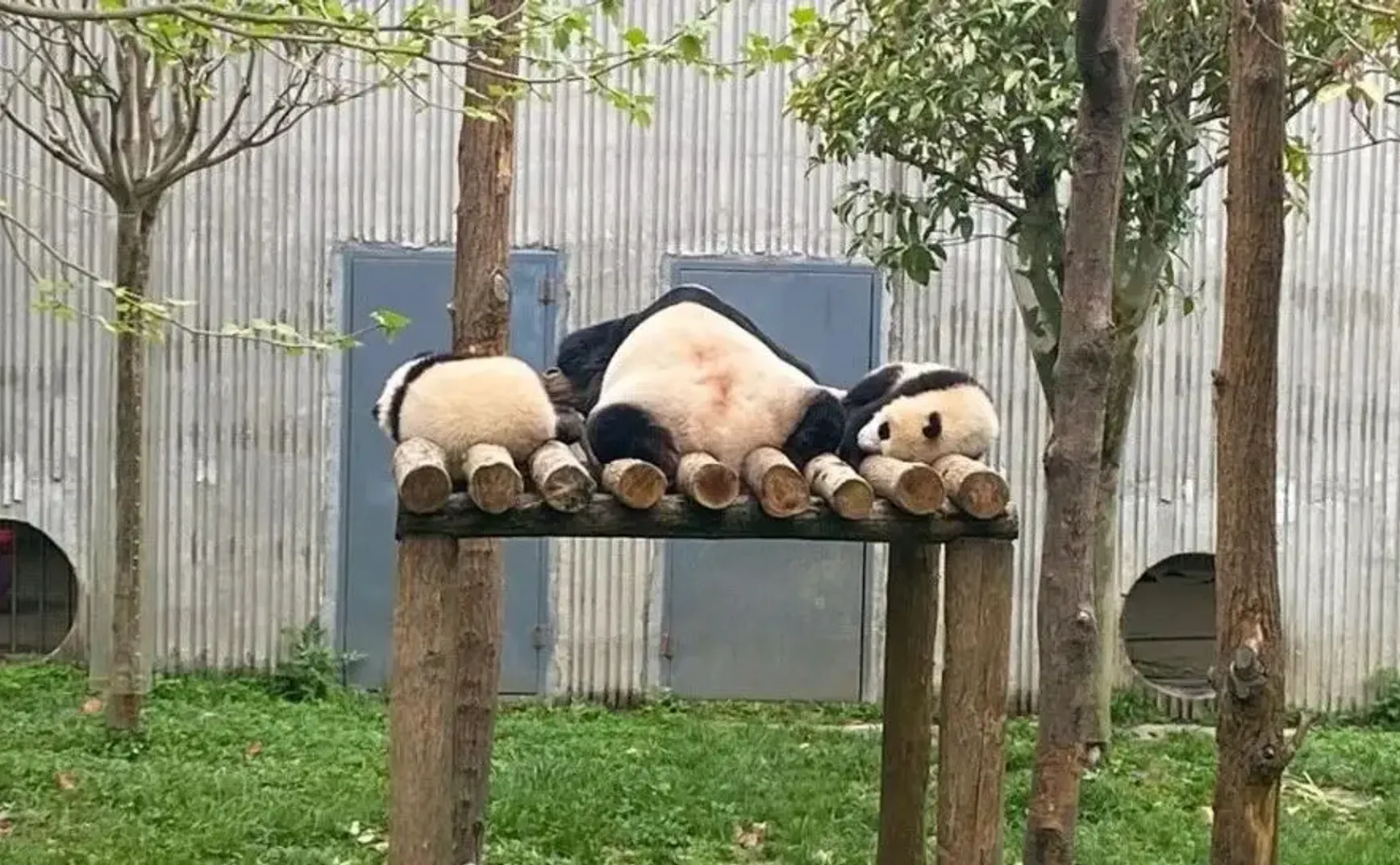 凡尔赛一下：世界越来越虚无，我的人生却越过越充实