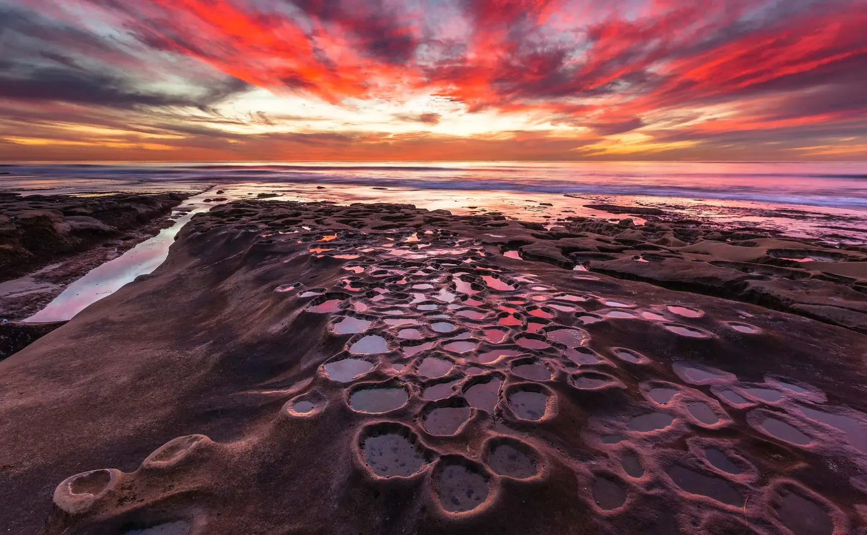 8月5日 | 每日焦点：许倬云先生逝世，基因研究突破，多领域事件引关注