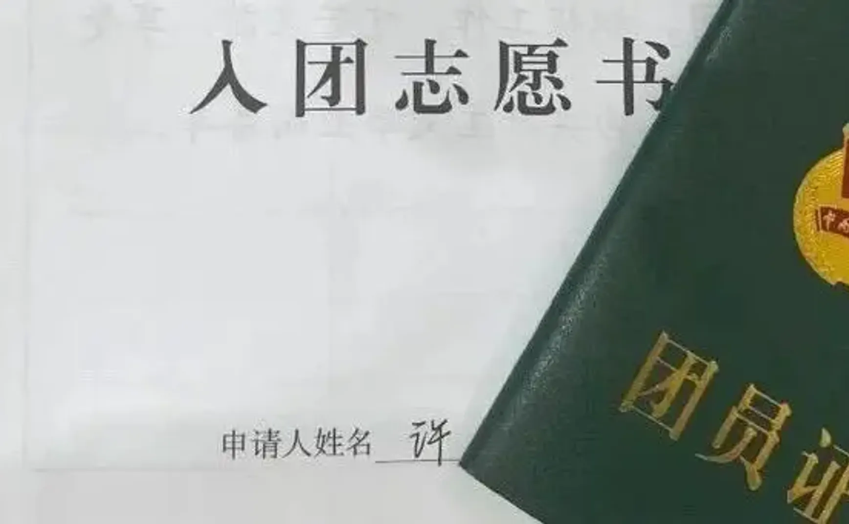 别拿团员不当干部，有中学生花上万元“运作”入团