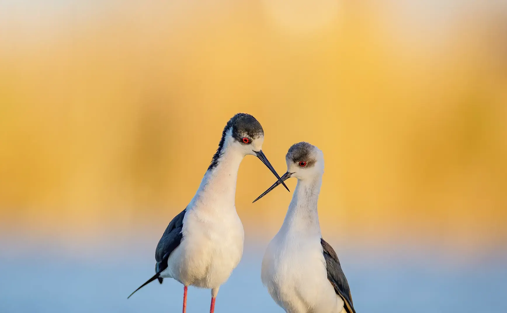 9月15日 | 南海局势、经贸会谈及热点民生