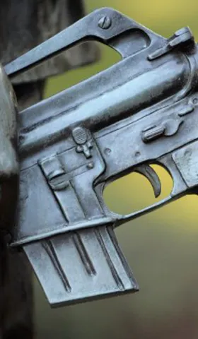 第二篇：武力作为结构条件：枪杆子里出政权的真实含义