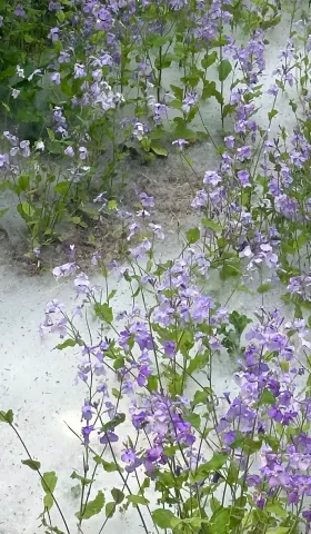 【25】风与风之间尚有空隙｜曲率飞船newsletter