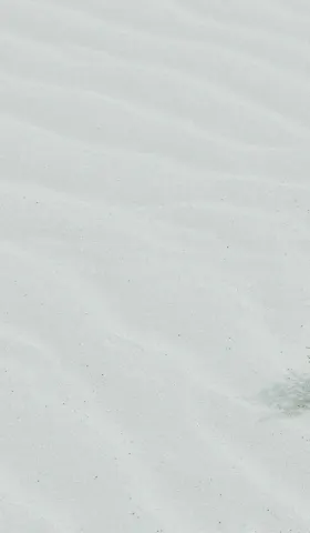 放下 AI，享受假期：我的烦恼越来越多，但我不烦恼了