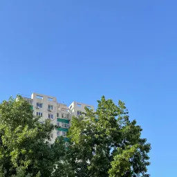 自说自话 #103 高考七年之后