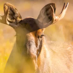 9月17日 | 黄岩岛局势升级，中美TikTok达成共识，民办高校学费引关注